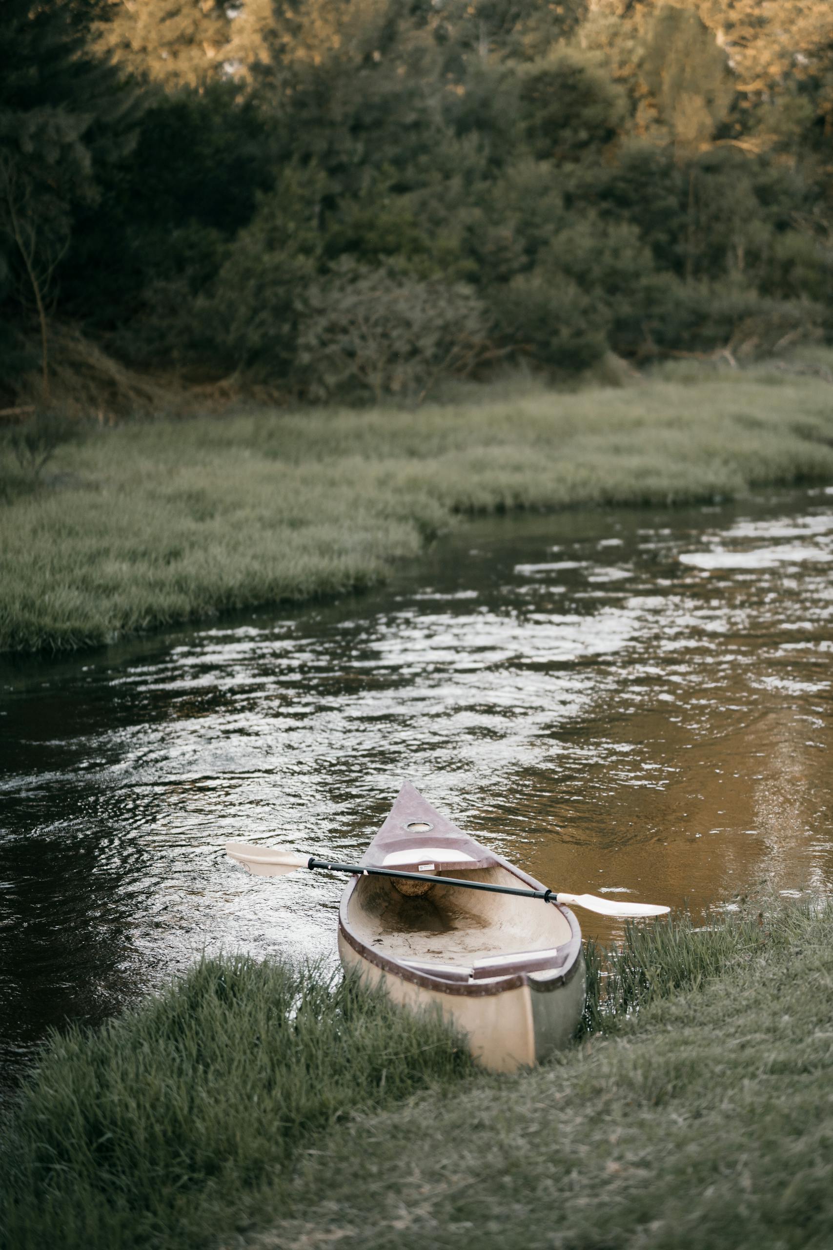 A solitary canoe rests by a peaceful riverbank surrounded by lush greenery.